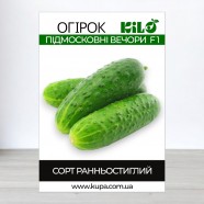 Насіння огірка Підмосковні Вечори F1, самоомыпяемые, 100г